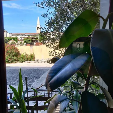 Europa Hostel *